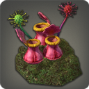 Kerker-Kelchblume