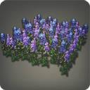 Lupinen-Beet