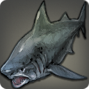 Megalodon