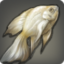 Albinobarsch