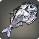 Beilfisch