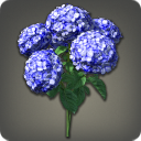 Blaue Hortensien