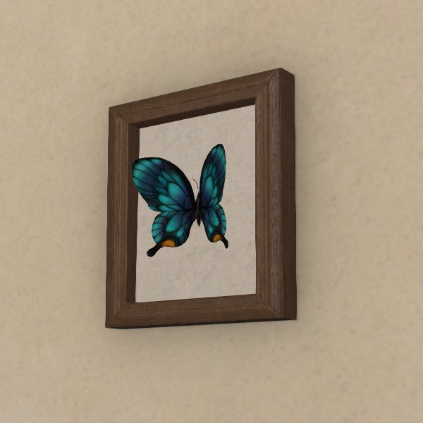 Präparierter Schmetterling