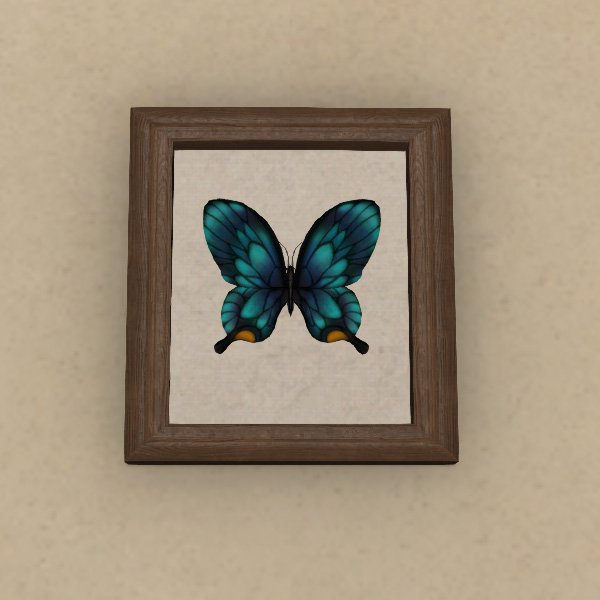 Präparierter Schmetterling
