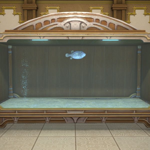 Schwarzer Kofferfisch