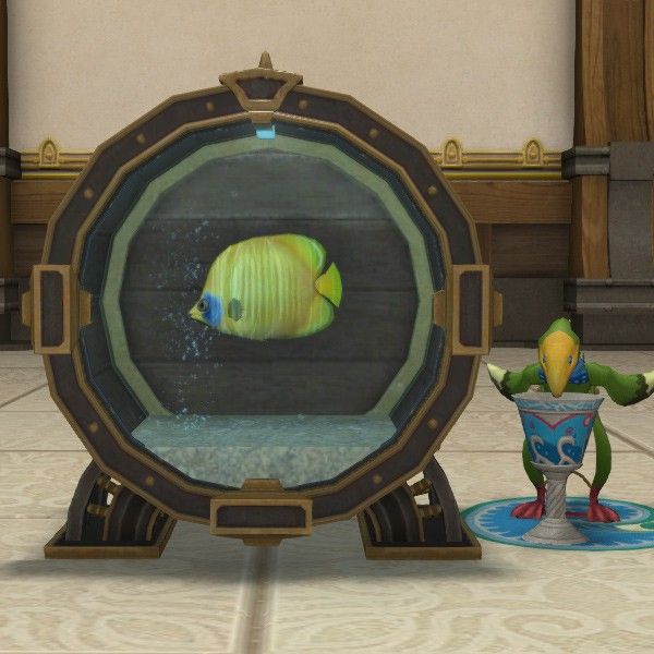 Aquarium S