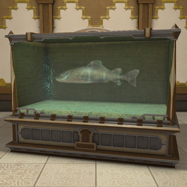 Aquarium L
