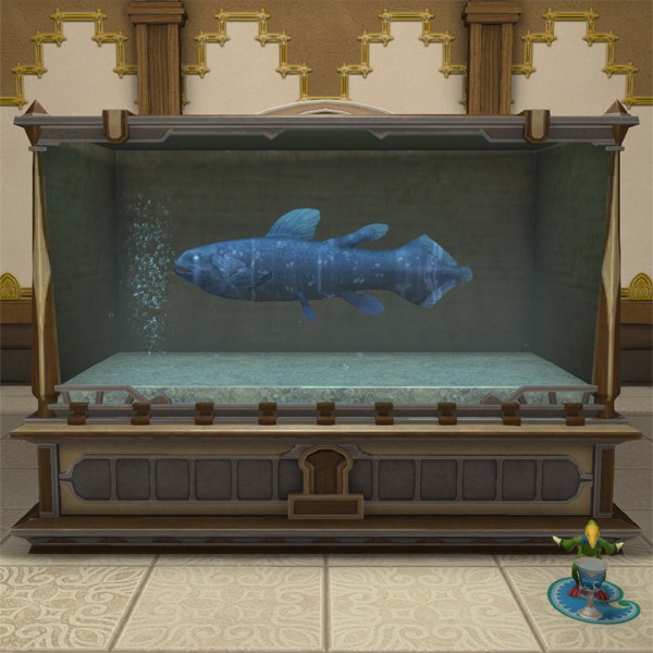 Aquarium L