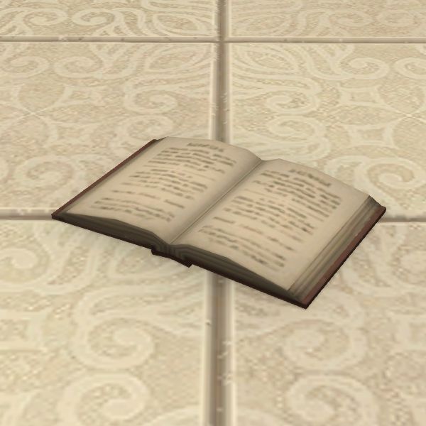 Aufgeschlagenes Buch