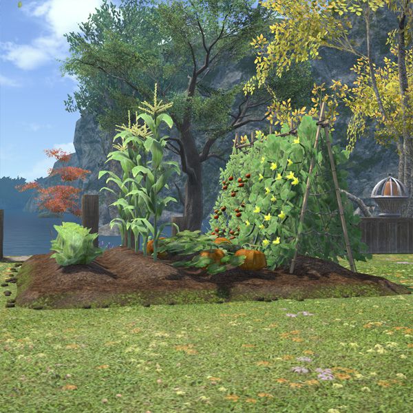 Botaniker-Garten