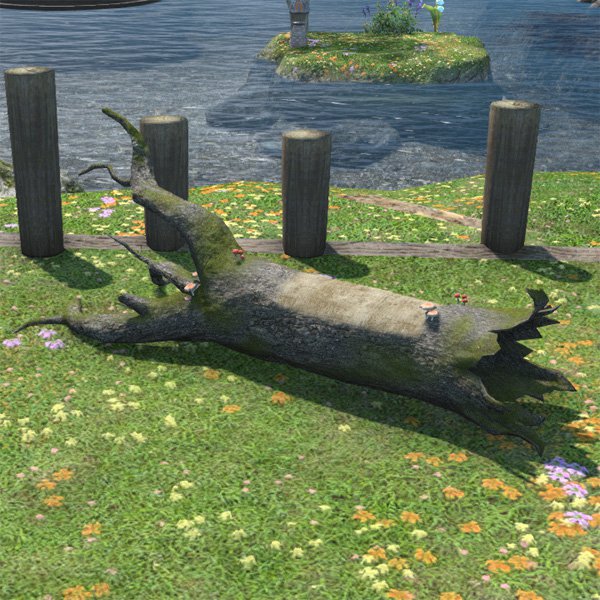 Umgestürzter Baum