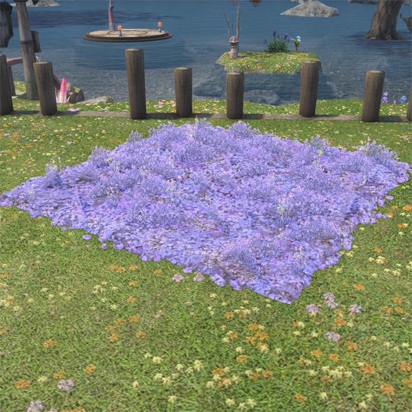Seenland-Blumenwiese