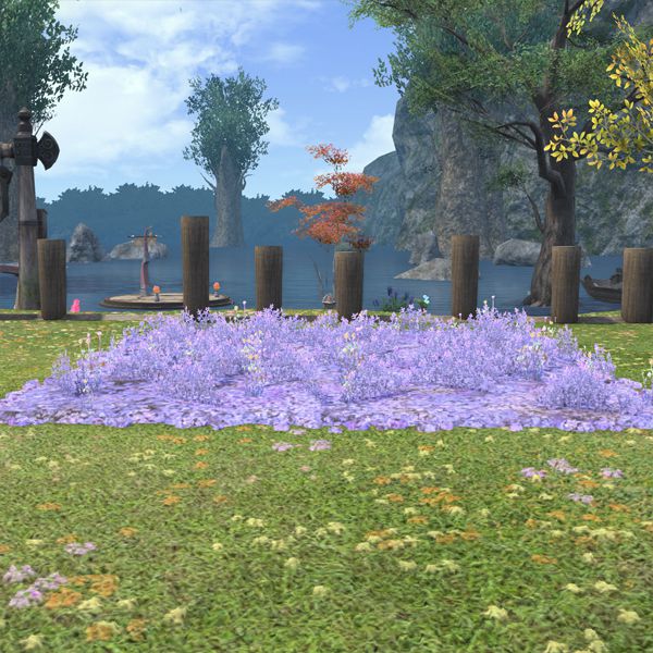 Seenland-Blumenwiese
