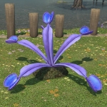 Tausendschlündekraut